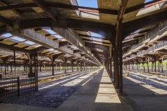 John-Sandstedt-NJFCC-Citation-Immigration-Starting-Place-Feb-2026-Digital-Color-Theme-Abandon-or-Forgotten-Salon-Award