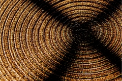 John-Sandstedt-NJFCC-Citation-X-Marks-the-Spot-May-2026-Digital-Color-Theme-Shadows-Salon-3rd-Place