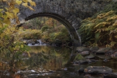Lorenzo-M.-Ventura-Stone-bridge-in-Autumn.-Oct-2025-Digital-Color-Open-Salon-Award.