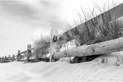 Mannie-Green-Beach-Fence-Dec-2025-Digital-Mono-Open-Salon-Award