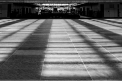 Mannie-Green-Bellworks-May-2026-Digital-Mono-Theme-Shadows-Salon-Award