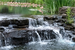 Mannie-Green-Lily-Pond-Falls-Sept-2025-Digital-Color-Open-Salon-Award