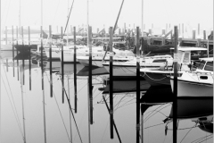 Mannie-Green-Still-Water-Foggy-Day-Nov-2025-Digital-Mono-Reflections-Salon-1st-Place