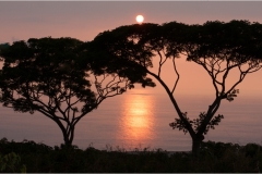 Mannie-Green-Sunset-Silhouettes-Mar-2026-Digital-Color-Open-Salon-Medal