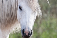 Mannie-Green-That-Look-Jan-2026-Digital-Color-Open-Salon-Award