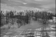 Mia-Mutascio-Dune-Grass-Lines-May-2026-Digital-Mono-Theme-Shadows-Salon-Award
