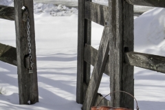 Mia-Mutascio-Old-Red-Fire-Bucket-Feb-2026-Digital-Color-Theme-Abandon-or-Forgotten-Salon-Award