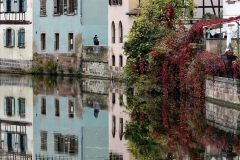 Mia-Mutascio-The-Red-Vine-Nov-2025-Digital-Color-Reflections-Salon-2nd-Place