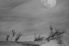 Mia-Mutascio-The-Snow-Moon-Mar-2026-Digital-Mono-Open-Salon-Medal