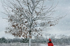 Nancy-Dieker-California-Dreamin-Mar-2026-Digital-Color-Open-Salon-Medal