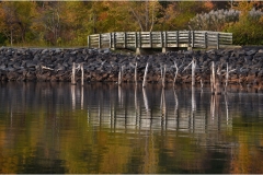 Nancy-Dieker-Natures-Echo-Nov-2025-Digital-Color-Reflections-Salon-Award