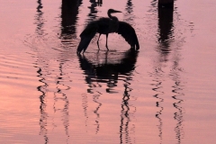 Nancy-Dieker-Ripple-Creek-Nov-2025-Digital-Color-Reflections-Salon-Award