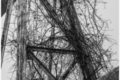 Rich-Doerr-Harris-Steel-Feb-2026-Digital-Mono-Theme-Abandon-or-Forgotten-Salon-Award