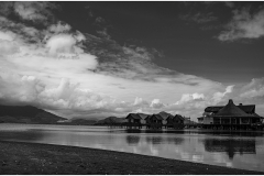 Rich-Doerr-Oyster-Farm-DaNang-Mar-2026-Digital-Mono-Open-Salon-Medal