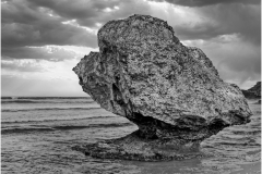 Jerome-Steiner-NATURES-CREATION-Sept-2026-Digital-Mono-Advanced-1st-Place Jerome-Steiner-NATURES-CREATION-Sept-2026-Digital-Mono-Advanced-1st-Place