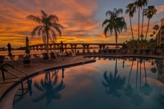 Amy-Coskey-Paradise-Sept-2026-Digital-Color-Beginner-2nd-Place Amy-Coskey-Paradise-Sept-2026-Digital-Color-Beginner-2nd-Place
