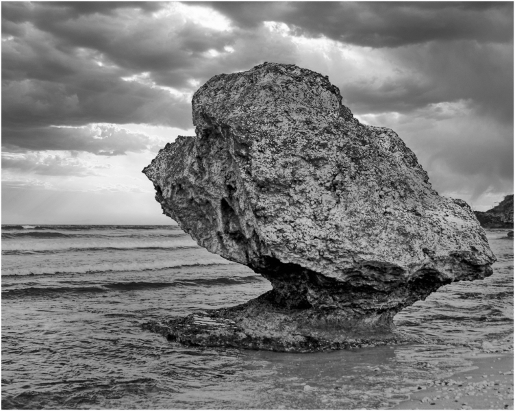 Jerome-Steiner-NATURES-CREATION-Sept-2026-Digital-Mono-Advanced-1st-Place