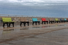 Nancy-Dieker-Boardwalk-Pitter-Patter-Sept-2026-Digital-Color-Master-Medal