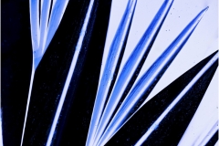 John-Sandstedt-NJFCC-Citation-Cut-Glass-Abstract-Sept-2026-Digital-Color-Salon-Award