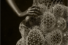 Martin-Sicular-Belle-of-the-Ball-Sept-2026-Digital-Mono-Salon-2nd-Place