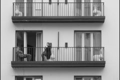 Mia-Mutascio-Balcony-Buddies-Sept-2026-Digital-Mono-Salon-Award